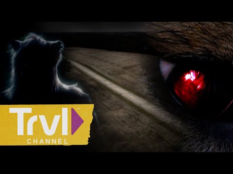 REAL Sightings of the Beast of Bray Road | In Search Of Monsters | Travel Channel