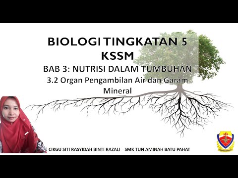 BIOLOGI TINGKATAN 5: BAB 3.2: ORGAN PENGAMBILAN AIR DAN GARAM MINERAL