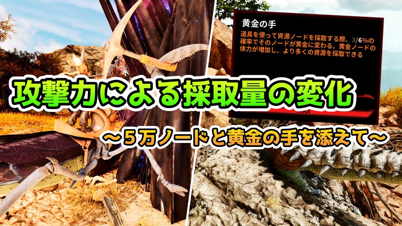 【ASAゆっくり解説】攻撃力による採取量の変化　５万ノードと黄金の手の解説付き編