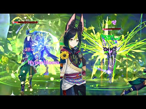 Tighnari is OP against Abyss Herald & Lector! (Dendro VS Hydro & Electro)