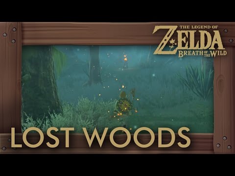 Zelda Breath of the Wild - How to Get Through Lost Woods