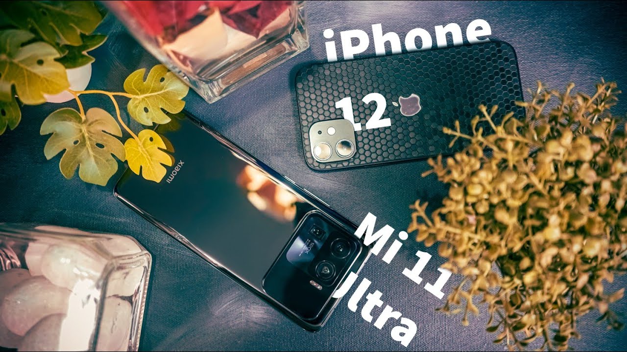 Mi 11 Ultra VS iPhone 12 Camera Comparison (Photography)