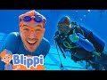 Blippi Goes Scuba Diving BEST OF BLIPPI Learn Colors And Science With Blippi