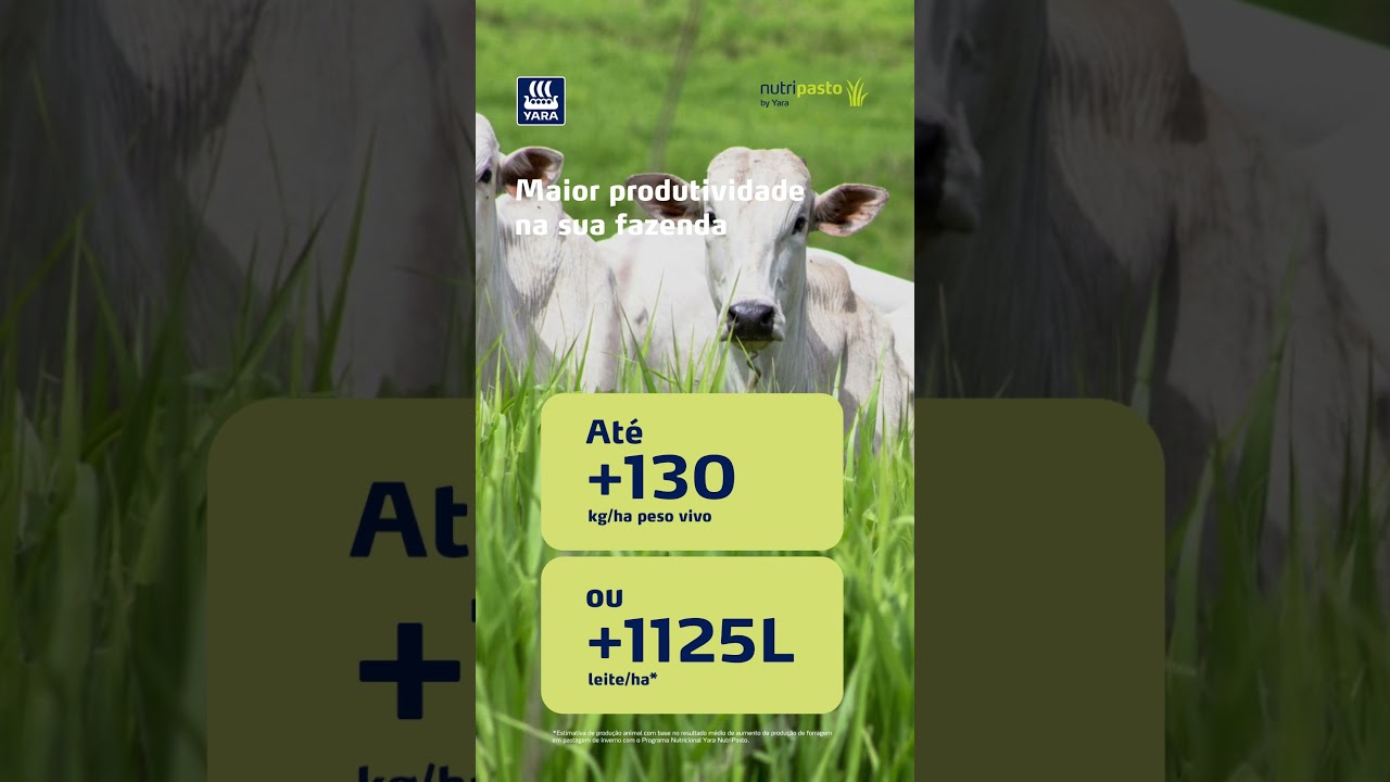 Programa Nutricional NutriPasto | Yara Brasil