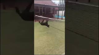 Funny Videos 2021 ● #shorts