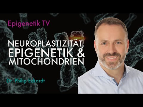 Neuroplastizität, Epigenetik & Mitochondrien mit Dr. Philip Eckardt