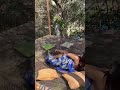 Alejandra Quiroz Sleep In The Middle Of Nature