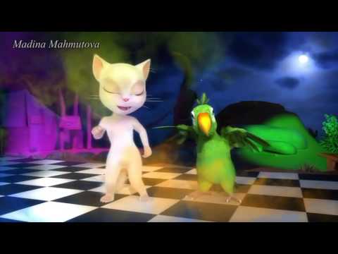 tom PAPITO CHOCOLATE! 2016