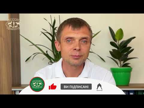 Відео превʼю