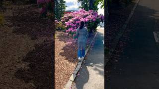 Download lagu Bergen you beauty❤️#bergen #nature #beautiful #shorts #youtubeshorts #norway #trending #music mp3 Download lagu Bergen you beauty❤️#bergen #nature #beautiful #shorts #youtubeshorts #norway #trending #music mp3