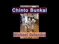 Chinto Bunkai Michael Calandra NY Seminar 2024
