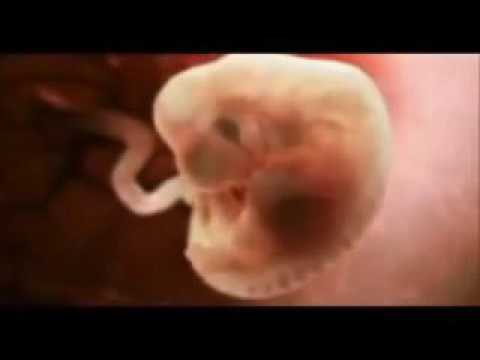 Jinsi mtoto anavyokua Tumboni na maisha anayoishi mpaka kuzaliwa