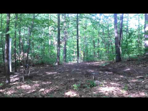 Netra oxford mass 2012 near alien