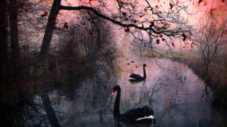 "The Cruel Sister" ~ Bedlam