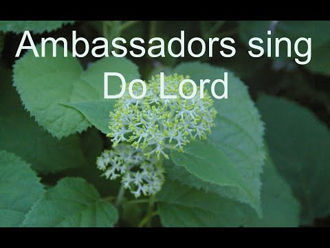 Ambassadors Christian Male Chorus sing Do Lord
