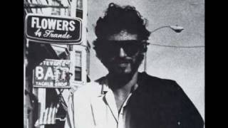 Bruce Springsteen - PARTY LIGHTS 1975  (audio)