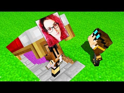 IL PASSAGGIO SEGRETO DI ANNA SU MINECRAFT!