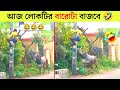 পশুদের মজার কর্মকান্ড  😂 | Animals Funny Video Bangla 2024 | Part-14 |  Mayajaa