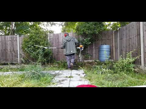 GARDENER Cesar Leyva