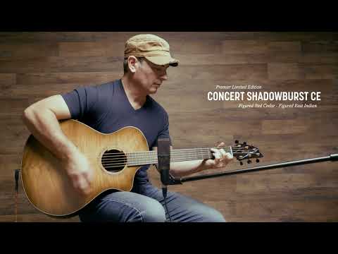 Breedlove Premier Concert Limited no. 13 of 20 made 2025 - Shadowburst Gloss image 10