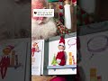 Santa’s Elf on the Shelf! ✨