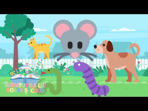 Rosky si Coco - Bunicul meu o ferma avea 🐮🐷🐭🐶  Colaj cantece cu animale (16 MIN) Songs about animals