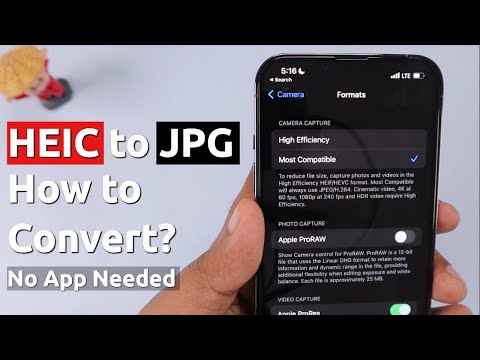 how to convert nef to jpg in batch free
