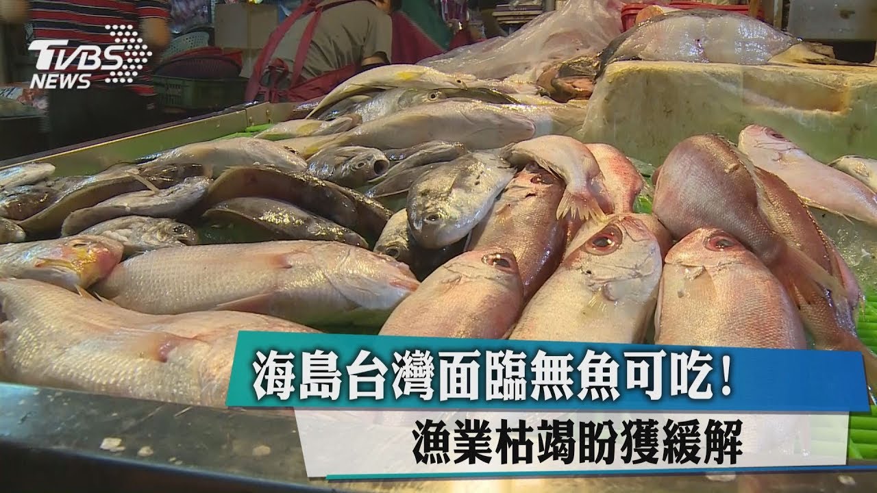 海島台灣面臨無魚可吃! 漁業枯竭盼獲緩解