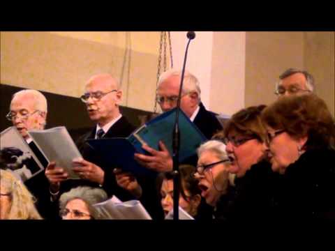 Inno alla Gioia - di L. V. Beethoven - Testo italiano : Arrigo Boito - Trascrizione : S. Varnavà