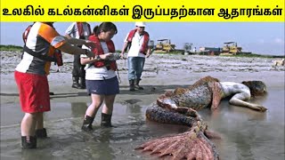 Download lagu Mermaids Exist In Real Life | TAMIL AMAZING FACTS | Mermaid Captured mp3