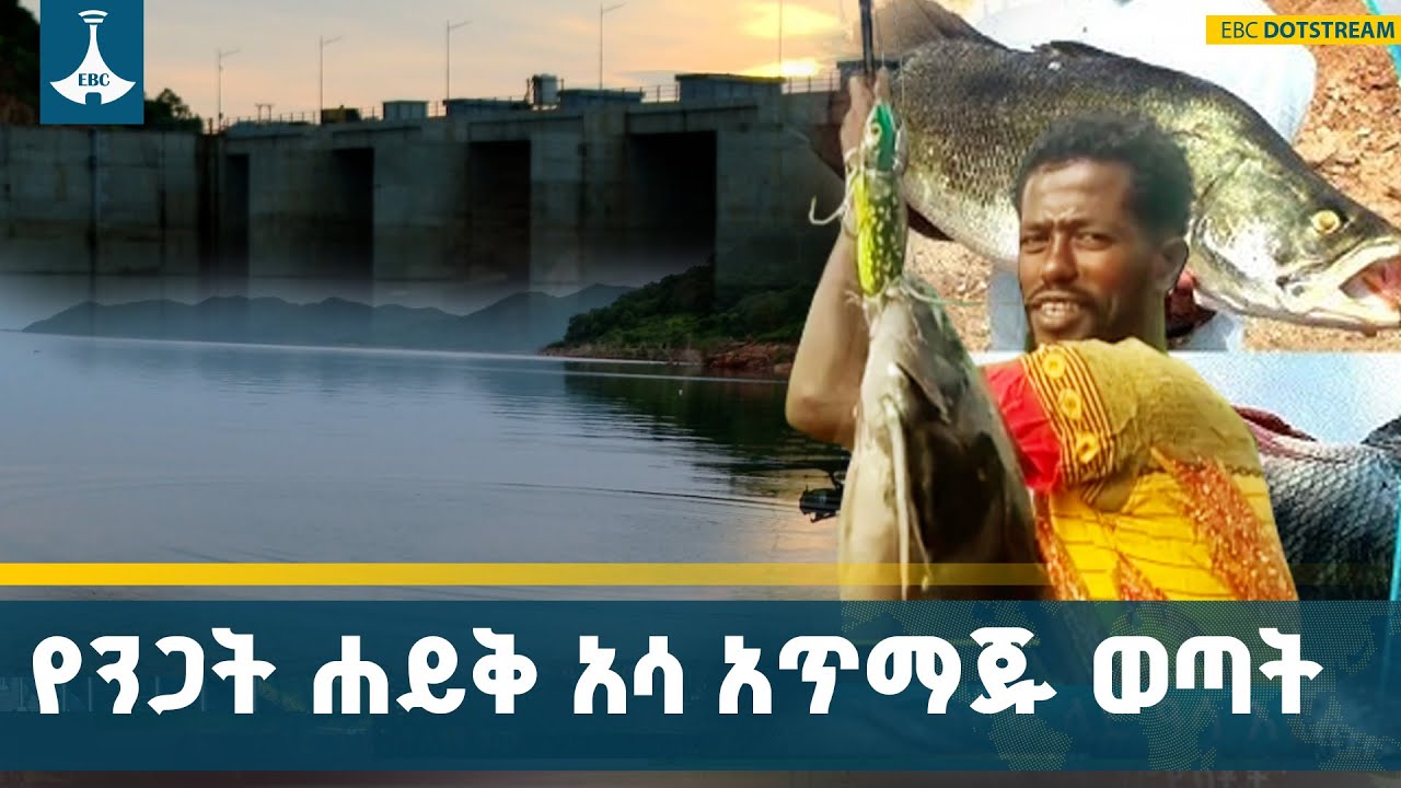 ታላቁ የኢትዮጵያ ሕዳሴ ግድብ በፈጠረው ንጋት ሐይቅ ላይ ያለው የአሳ ሀብት የፈጠረው ?