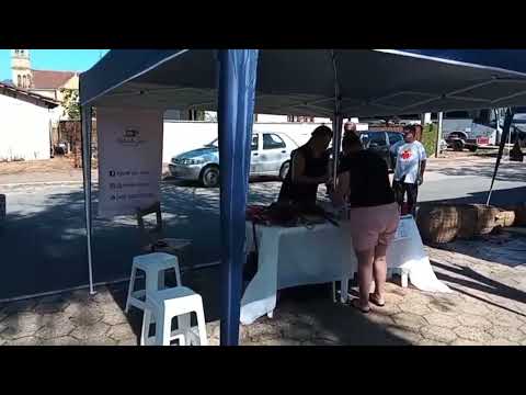 Participei da 1ª Feira Colonial e Artesanal Sabores & Encantos, Major Gercino-SC no dia 04/04/2026