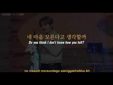 Stray Kids (스트레이 키즈) – Waiting For Us (피어난다) | Lyrics / 가사 + concert vid [Han, Eng, Rom]