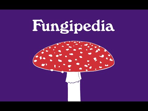 Fungipedia: Mushroom Stories from Lawrence Millman