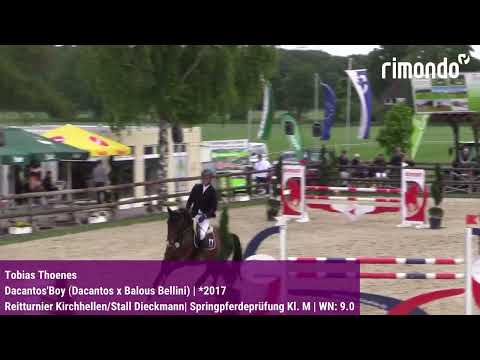 BuCha-Quali Kirchhellen/Stall Dieckmann – Tobias Thoenes & Dacantos'Boy