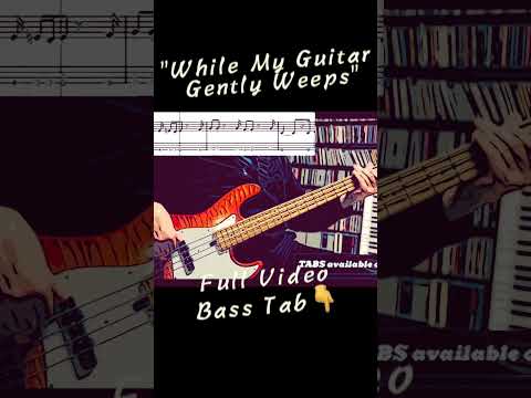 "While My Guitar Gently Weeps" Carmen Cuesta Loeb #beatles #basstab  #bassguitar #music #basscover
