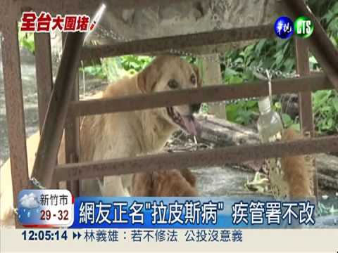 賺疫情財包套注射 公平會還在查?!