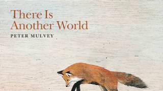 Peter Mulvey: The Fox