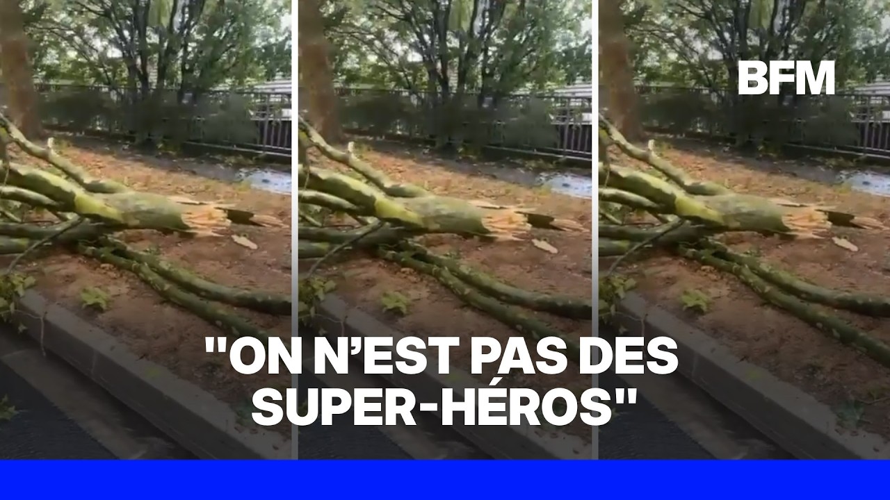 "En une minute, ça a viré au drame": ils sauvent une passante de chutes d'arbres