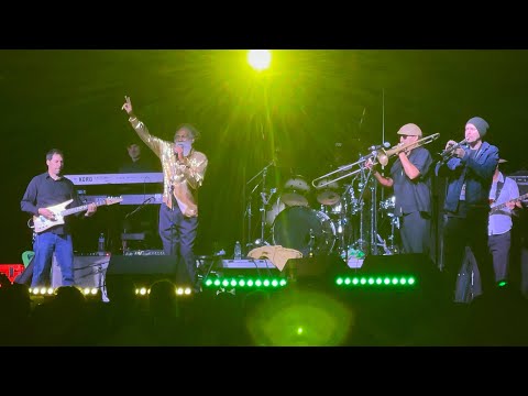 Did Sami Zayn really learn to dance from Don Carlos? Live from the Dallas Reggae Festival