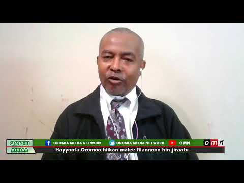 OMN  Hayyoota Oromoo hiikan malee filannoon hin jiraatu