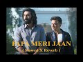 Papa Meri Jaan - ( Slowed X Reverb )  | ANIMAL | Sloverb Music