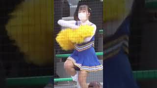 高校野球  二松学舎大附属高校　応援団チアリーダー