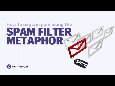 The SPAM FILTER Metaphor | Explain Pain by Jo Nijs