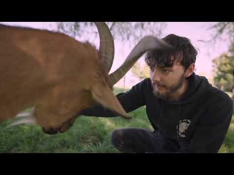 UPK Basel – das sind wir.