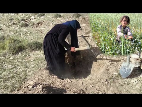 The Hidden Secret of Agha Murad: The Adventure Story of Mahnaz Khanum