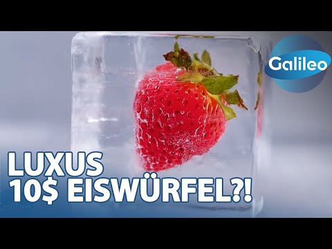 The Ice Dealer - The world's most expensive ice cubes: madness or craftsmanship?