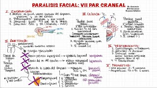 PARÁLISIS FACIAL: VII PAR CRANEAL