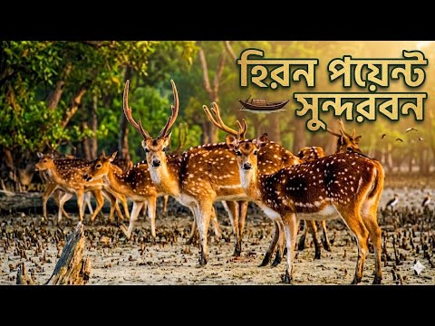 HIRON POINT SUNDARBAN # 2nd DAY OF THE SUNDARBAN TOUR