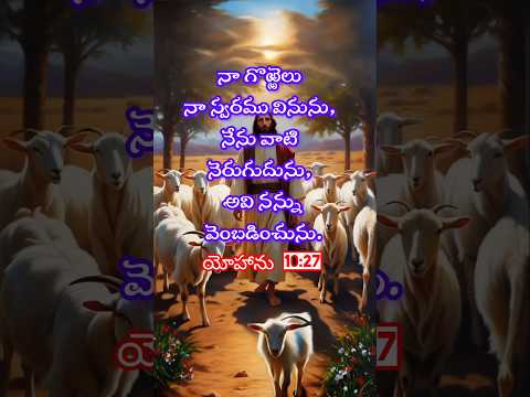 #shorts#jesus#bible#wordofgod#promise#gospel#motivation#trending#viral#viral videos